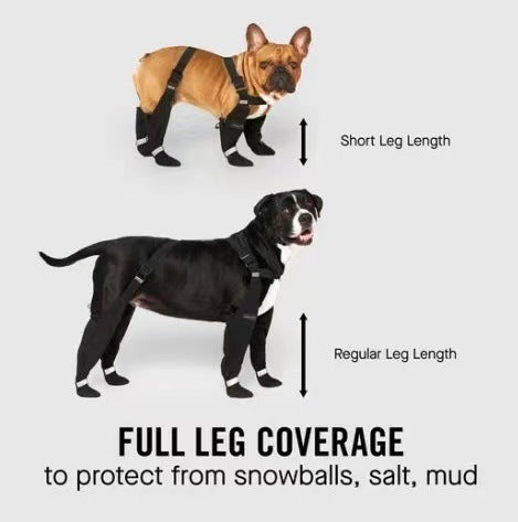 Waterproof pet shoes
Reflective pet shoes
Elastic belt pet shoes
Pet footwear for outdoor walks
Durable dog shoes
Reflective pet boots
Waterproof dog boots
Outdoor pet protection shoes
Non-slip pet shoes
Comfortable pet shoes