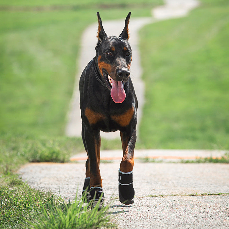 "Pet Upstream Shoes for dogs - waterproof and durable outdoor paw protection"
"Close-up of Pet Upstream Shoes for dogs in hiking environment"
"Dog wearing Pet Upstream Shoes on a trail"
"Stylish and comfortable Pet Upstream Shoes for your pet's paws"