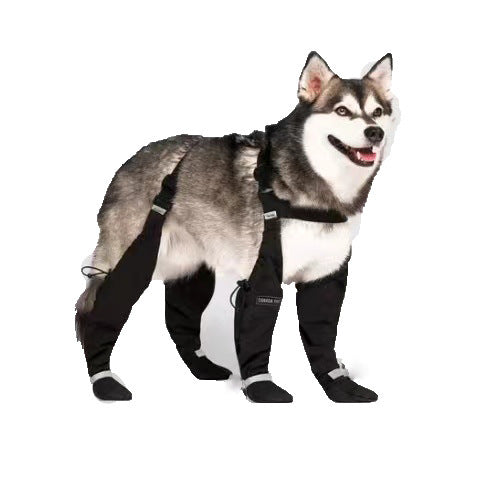 Waterproof pet shoes
Reflective pet shoes
Elastic belt pet shoes
Pet footwear for outdoor walks
Durable dog shoes
Reflective pet boots
Waterproof dog boots
Outdoor pet protection shoes
Non-slip pet shoes
Comfortable pet shoes