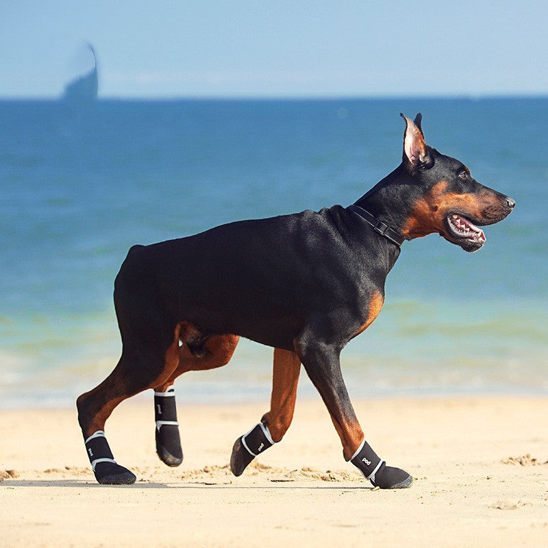 "Pet Upstream Shoes for dogs - waterproof and durable outdoor paw protection"
"Close-up of Pet Upstream Shoes for dogs in hiking environment"
"Dog wearing Pet Upstream Shoes on a trail"
"Stylish and comfortable Pet Upstream Shoes for your pet's paws"