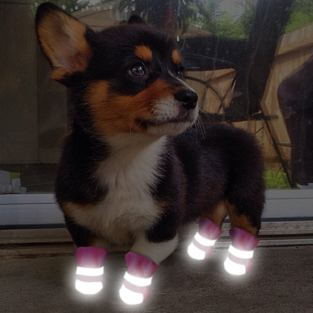 Breathable pet shoes
Comfortable pet footwear
Pet shoes for warm weather
Soft pet shoes
Dog shoes for comfort
Breathable dog boots
Pet protection shoes
Cool pet shoes
Pet footwear for active dogs
